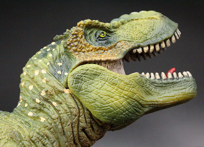 本物化石１個付き！ティラノサウルス恐竜フィギュア（アゴ可動式・送料無料・ラッピング無料）（その7）