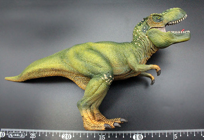 本物化石１個付き！ティラノサウルス恐竜フィギュア（アゴ可動式・送料無料・ラッピング無料）（その8）
