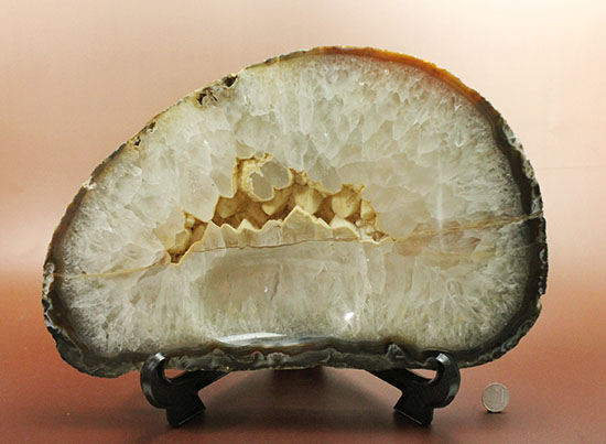 デカい!!典型的産状、コレクション用にカットされたメノウ(Agate)(その13)