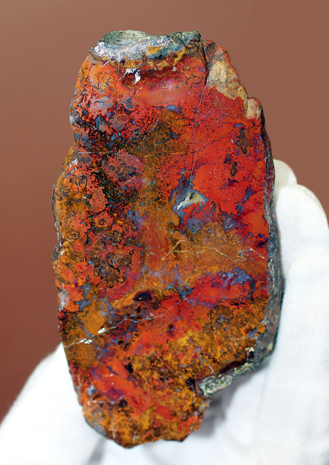 シアノバクテリアの活動履歴(ストロマトライト)が表面に見える美しいハンガリー産のメノウ(Agate)(その1)