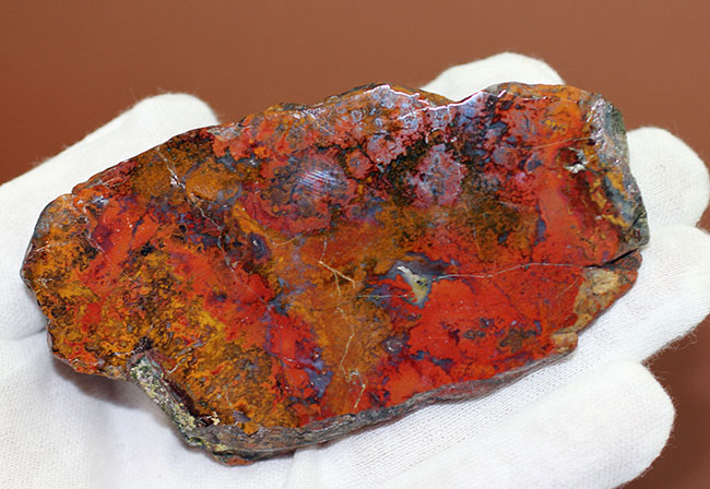 シアノバクテリアの活動履歴(ストロマトライト)が表面に見える美しいハンガリー産のメノウ(Agate)(その5)