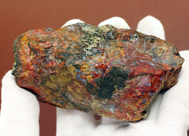 シアノバクテリアの活動履歴(ストロマトライト)が表面に見える美しいハンガリー産のメノウ(Agate)(その6)
