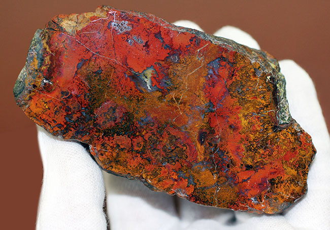 シアノバクテリアの活動履歴(ストロマトライト)が表面に見える美しいハンガリー産のメノウ(Agate)(その7)