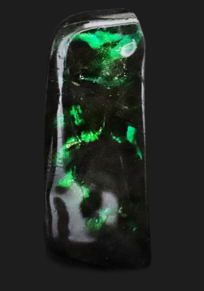 鮮やかなグリーンを呈する、宝石、アンモライト(Ammolite)のピンプローチ(その1)