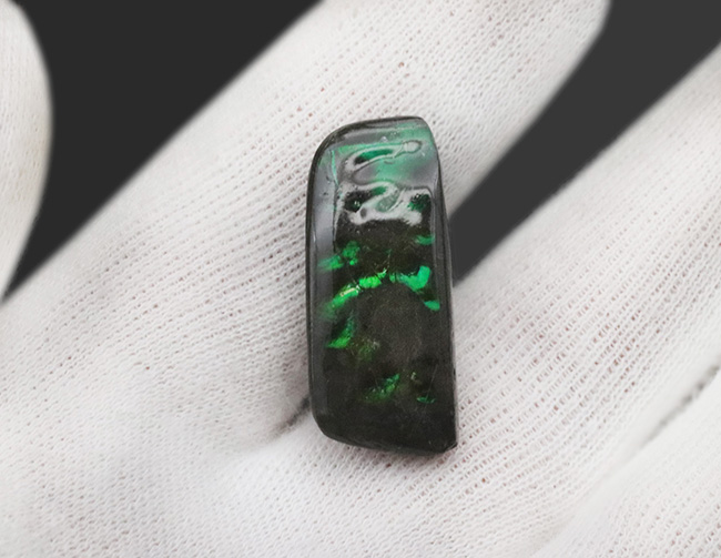 鮮やかなグリーンを呈する、宝石、アンモライト（Ammolite）のピンプローチ（その2）