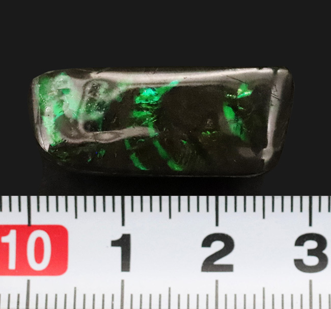 鮮やかなグリーンを呈する、宝石、アンモライト(Ammolite)のピンプローチ(その6)