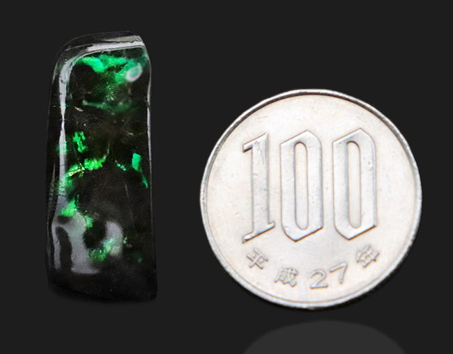 鮮やかなグリーンを呈する、宝石、アンモライト（Ammolite）のピンプローチ（その7）