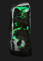鮮やかなグリーンを呈する、宝石、アンモライト（Ammolite）のピンプローチ