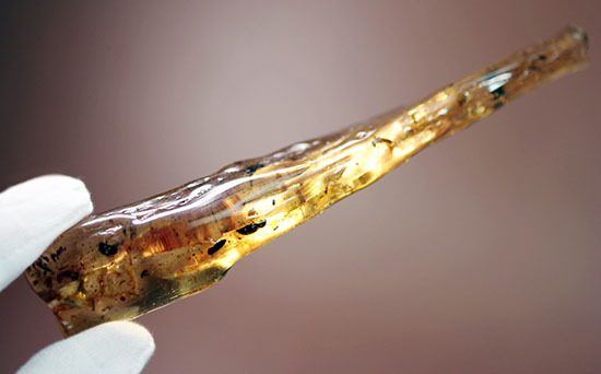 頭が赤色の珍しい甲虫や、クモを含むマダガスカル産虫入りコーパル(Copal)(その7)