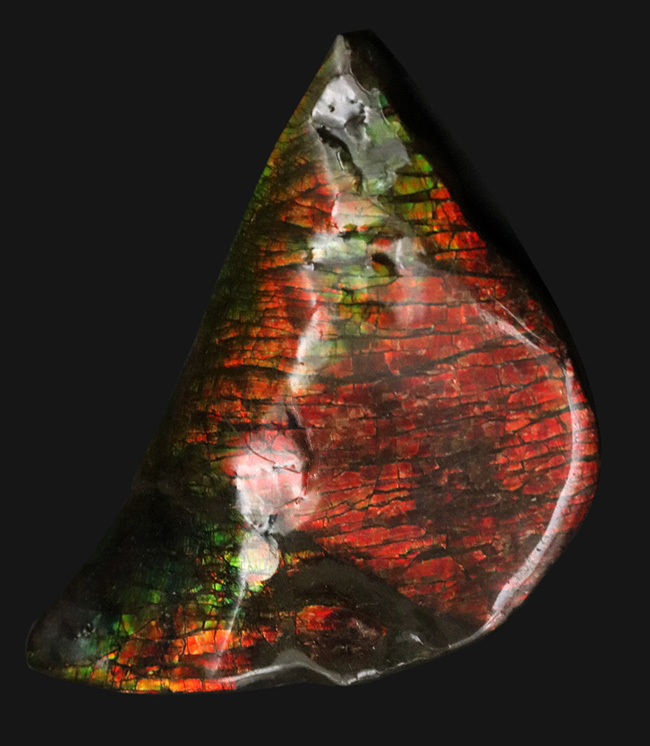 カナダ・アルバータ州が生んだ生物起源の宝石、アンモライト（Ammolite）の美しきピース（その2）