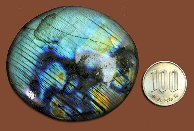 両面ともにラブラドレッセンスを楽しめる、上質なラブラドライト(Labradorite)のカボション(その10)