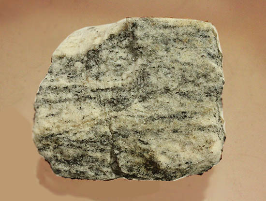地球上でもっとも古い岩石！その名はアカスタ片麻岩。（その1）
