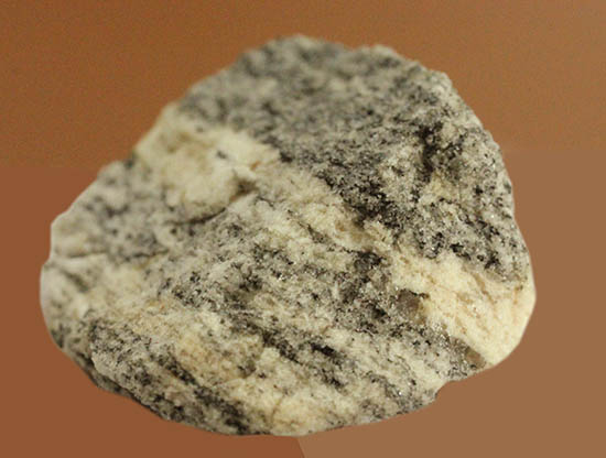 地球上でもっとも古い岩石！その名はアカスタ片麻岩。（その2）