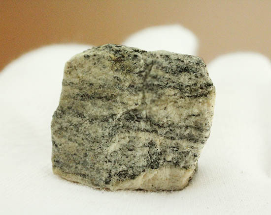 地球上でもっとも古い岩石！その名はアカスタ片麻岩。（その4）