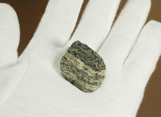 地球上でもっとも古い岩石！その名はアカスタ片麻岩。（その5）