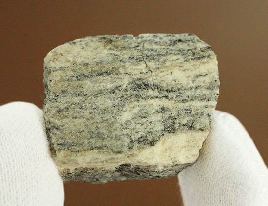 地球上でもっとも古い岩石！その名はアカスタ片麻岩。（その7）