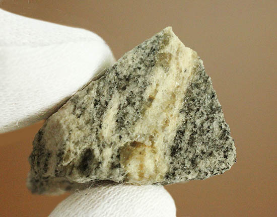 地球上でもっとも古い岩石！その名はアカスタ片麻岩。（その8）
