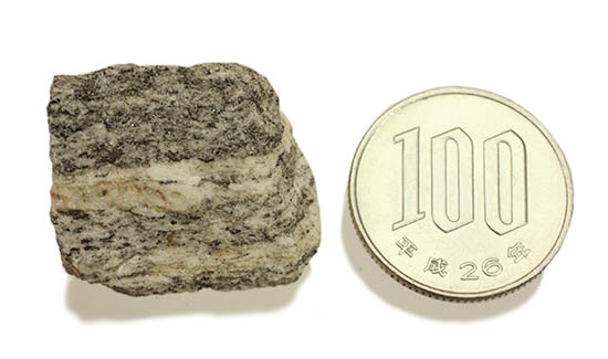 地球上でもっとも古い岩石！その名はアカスタ片麻岩。（その9）