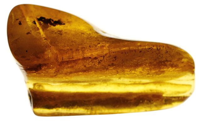 あまり数が出回っていない、南米コロンビア産のコーパル(Copal)。クモらしい生物を内包しており、ぜひルーペで御覧ください。(その3)