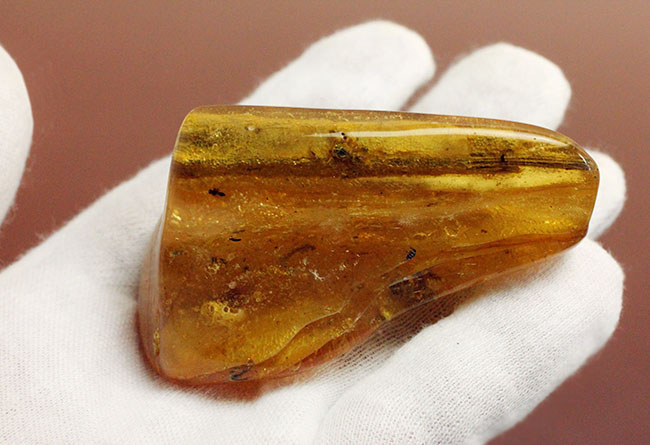 あまり数が出回っていない、南米コロンビア産のコーパル(Copal)。クモらしい生物を内包しており、ぜひルーペで御覧ください。(その4)