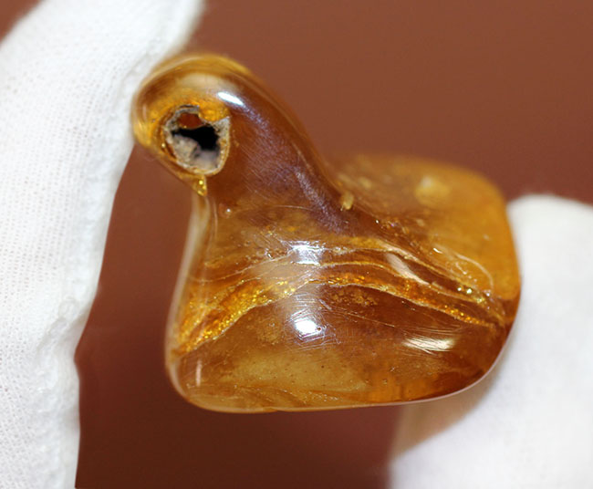 あまり数が出回っていない、南米コロンビア産のコーパル(Copal)。クモらしい生物を内包しており、ぜひルーペで御覧ください。(その6)