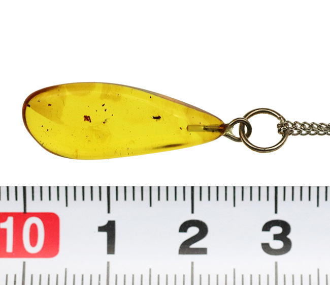 抜群の透明度、煌々と琥珀色に輝く!古代の虫を内包した琥珀のペンダントトップ(シルバーチェーン&高級ジュエリーケース付き)(その8)