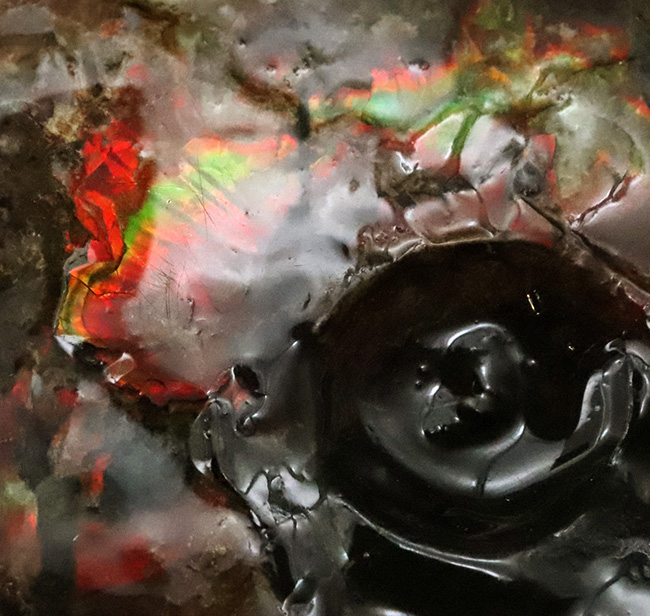 極めて希少な「完全体ホールタイプ」……らせん構造と炎色が溶け合う、宝石アンモナイトの最高峰「アンモライト」……艶麗なるナチュラルアート（その2）