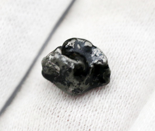１９２２年に初めて発見された鉄隕石、オデッサのミニ標本（その3）