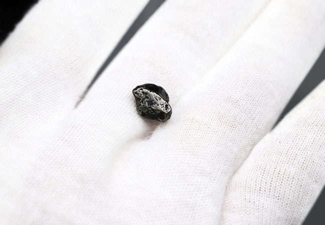 １９２２年に初めて発見された鉄隕石、オデッサのミニ標本（その4）