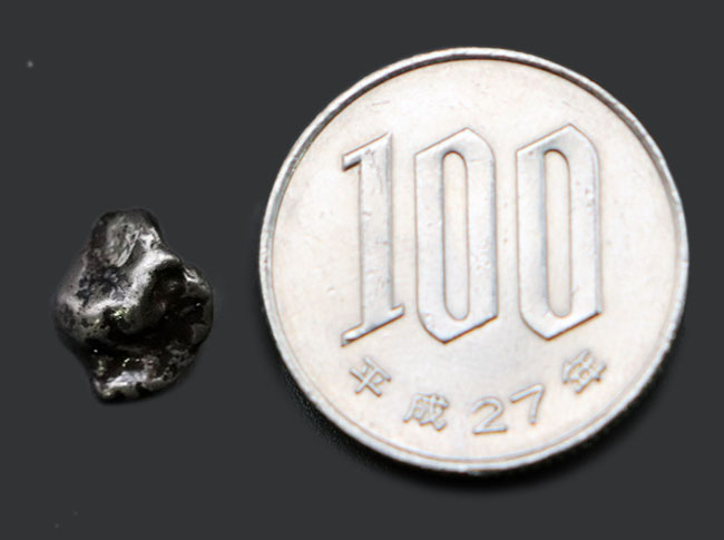 １９２２年に初めて発見された鉄隕石、オデッサのミニ標本（その6）