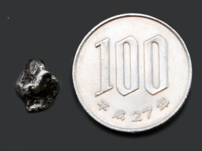 1922年に初めて発見された鉄隕石、オデッサのミニ標本(その6)
