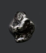 １９２２年に初めて発見された鉄隕石、オデッサのミニ標本