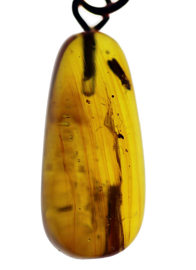 バルト海産の虫入り琥珀（Amber）を使ったペンダントトップ（シルバーチェーン、高級ジュエリーケース付き。）（その1）