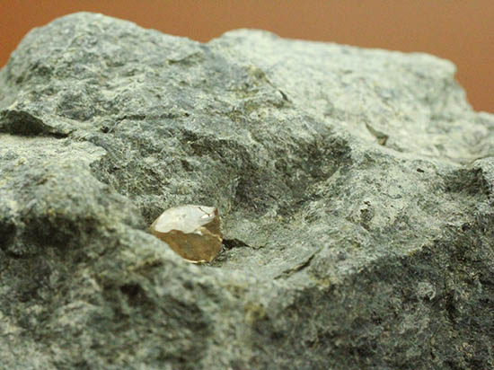 キンバーライトに接着されたダイアモンド原石。（その8）