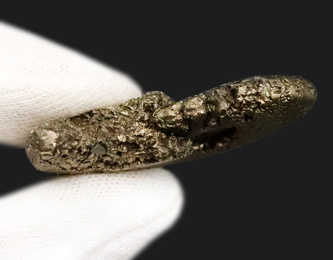 人気のフランス・アヴェロン産のパイライトアンモナイトです。好サイズ・状態良好な、上質標本（その6）