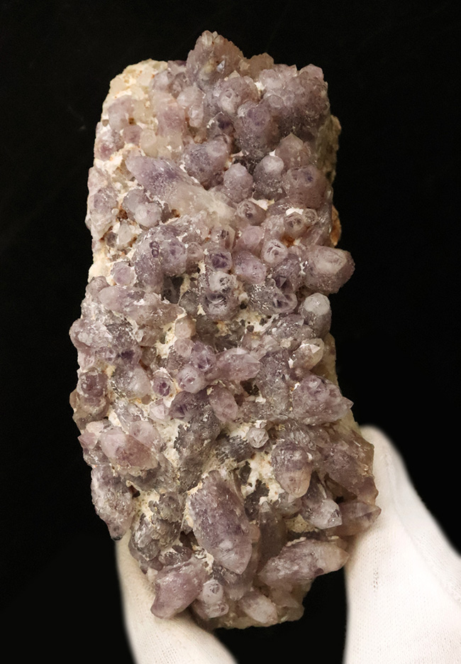 海外産とは異なる“品の良い淡紫”、鳥取県米子市産アメシスト（Amethyst）のクラスター標本（その1）