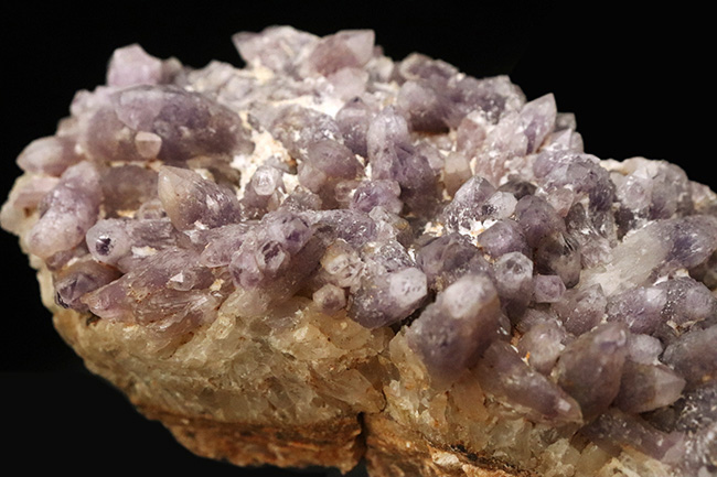 海外産とは異なる“品の良い淡紫”、鳥取県米子市産アメシスト（Amethyst）のクラスター標本（その2）