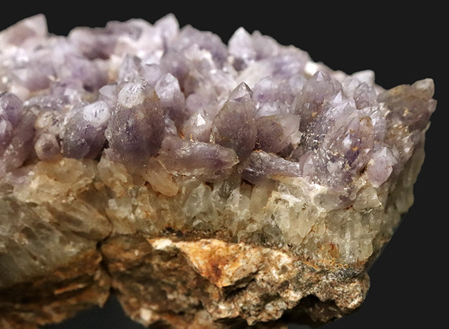 海外産とは異なる“品の良い淡紫”、鳥取県米子市産アメシスト（Amethyst）のクラスター標本（その3）