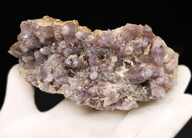 海外産とは異なる“品の良い淡紫”、鳥取県米子市産アメシスト（Amethyst）のクラスター標本（その4）