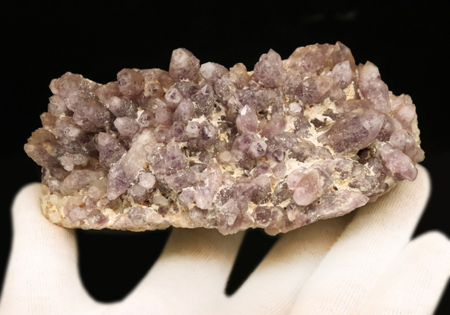 海外産とは異なる“品の良い淡紫”、鳥取県米子市産アメシスト（Amethyst）のクラスター標本（その5）