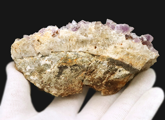 海外産とは異なる“品の良い淡紫”、鳥取県米子市産アメシスト（Amethyst）のクラスター標本（その7）