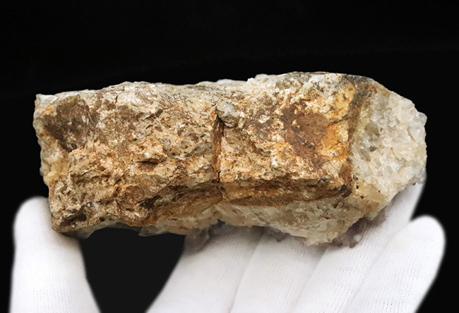 海外産とは異なる“品の良い淡紫”、鳥取県米子市産アメシスト（Amethyst）のクラスター標本（その8）