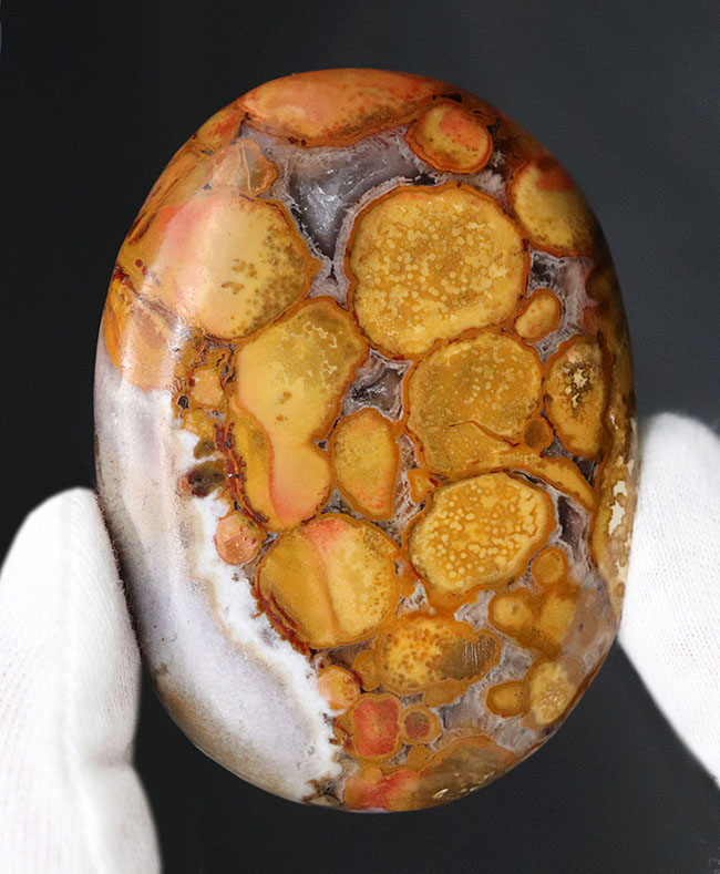 インドから来たジャスパーの王様、蛇の柄模様を持つ玉髄、その名もキングコブラジャスパー（Orbicular Jasper）（その1）