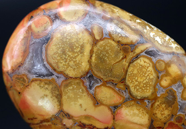 インドから来たジャスパーの王様、蛇の柄模様を持つ玉髄、その名もキングコブラジャスパー（Orbicular Jasper）（その10）