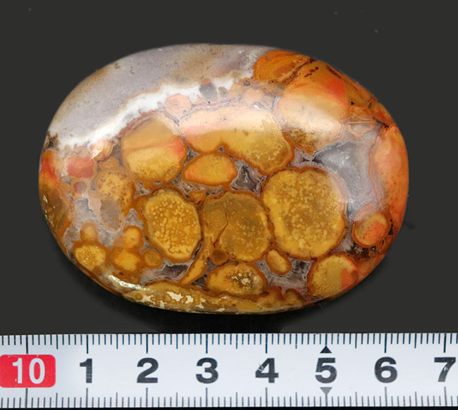 インドから来たジャスパーの王様、蛇の柄模様を持つ玉髄、その名もキングコブラジャスパー（Orbicular Jasper）（その13）