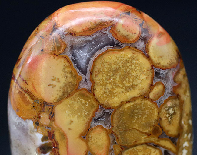 インドから来たジャスパーの王様、蛇の柄模様を持つ玉髄、その名もキングコブラジャスパー（Orbicular Jasper）（その2）