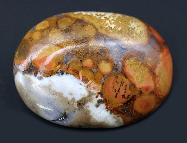 インドから来たジャスパーの王様、蛇の柄模様を持つ玉髄、その名もキングコブラジャスパー（Orbicular Jasper）