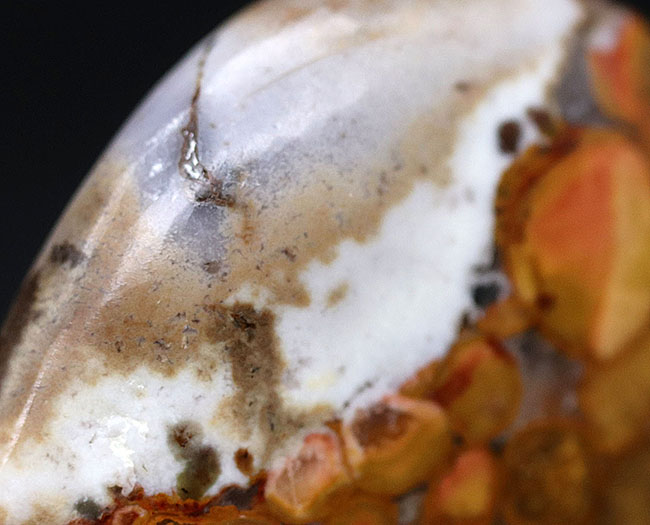 希少★インド産 キングコブラジャスパー スフィア★花柄のよう King Cobra Jasper Sphere 308.5g】インド産 キングコブラ