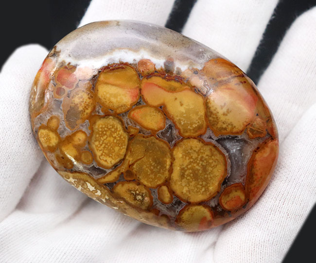 インドから来たジャスパーの王様、蛇の柄模様を持つ玉髄、その名もキングコブラジャスパー（Orbicular Jasper）（その9）