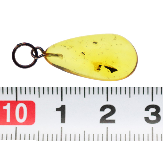 光があたるとレモンイエローを呈する!最も古い宝石とも言われる琥珀(Amber)を使ったペンダントトップ(シルバーチェーン、高級ジュエリーケース付き)(その6)